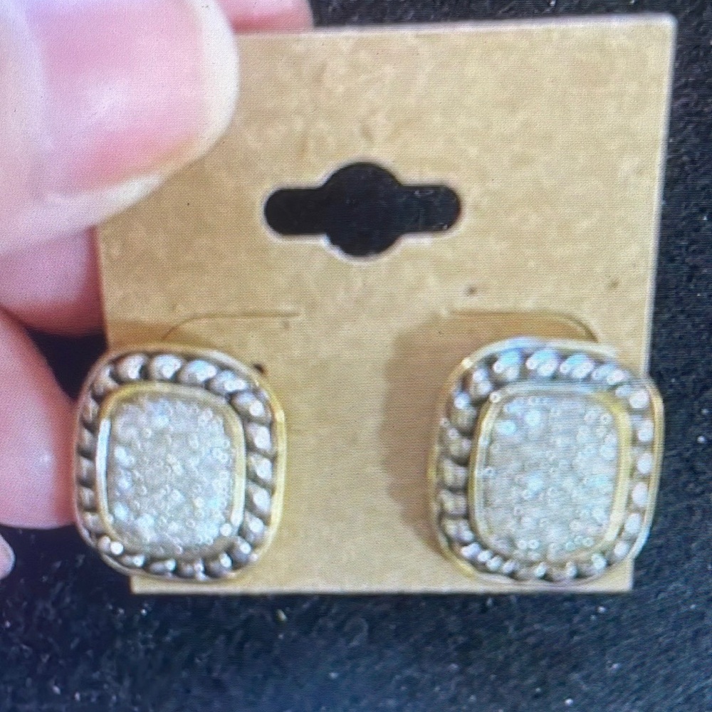 Elegant Gold and Silver Stud Earrings